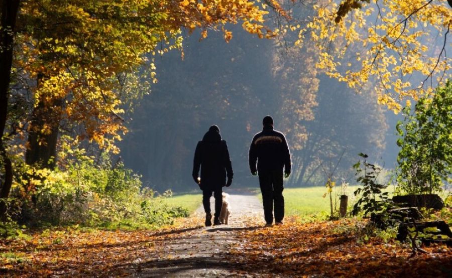 two people walking in silhouette outdoors on a walking trail exploring trauma in a walk and talk therapy session