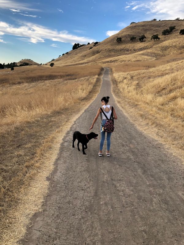 Walk and talk therapy in Walnut Creek nature-based counseling for anxiety and trauma