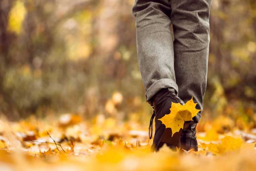 image of a person’s legs walking down a leafy path in a walk and talk therapy session for depression.
